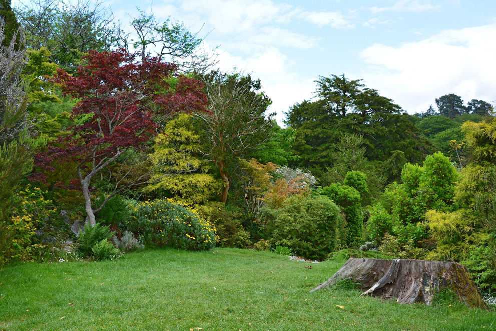 Garten
